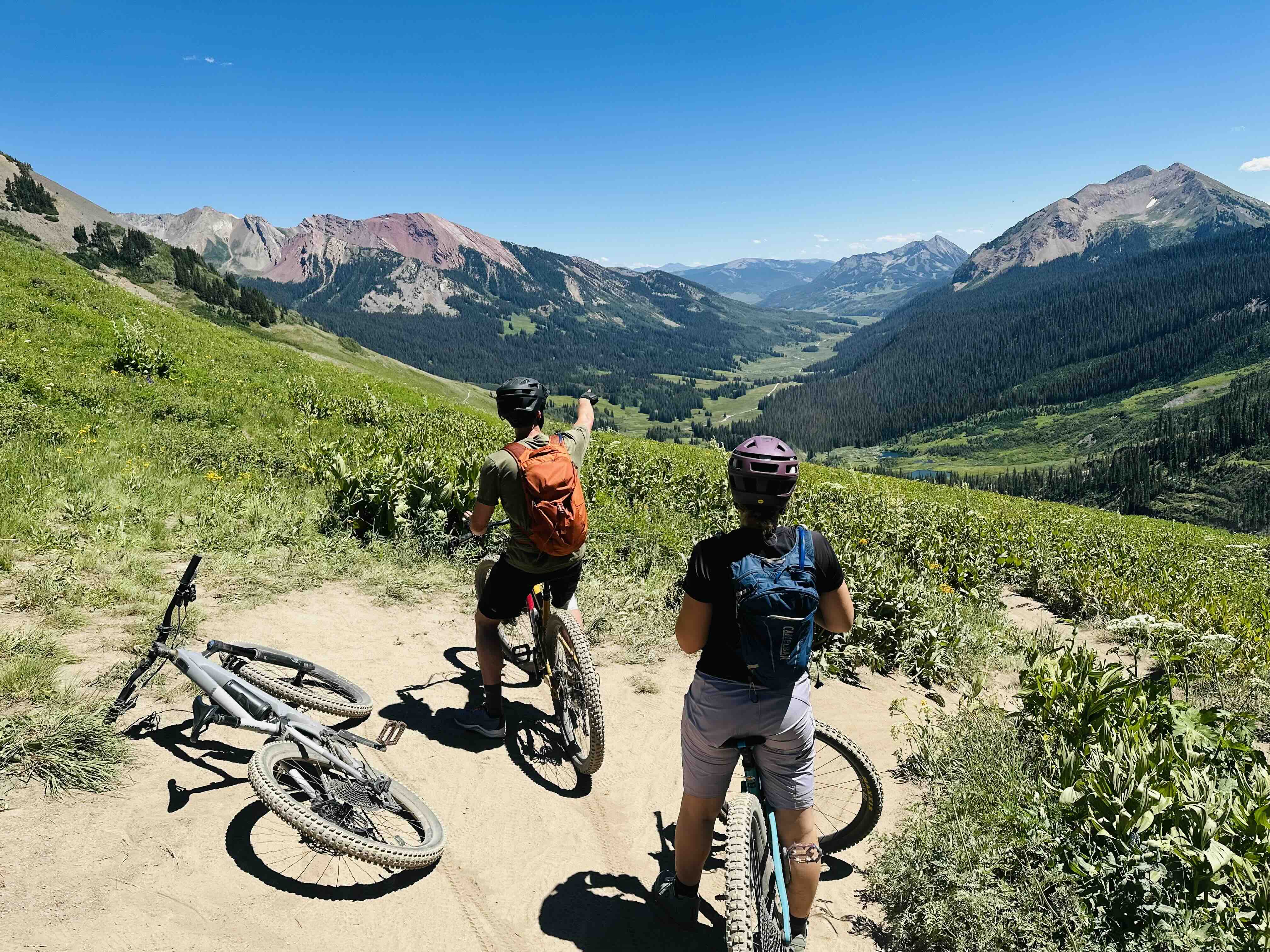 Colorado wildflowers framing singletrack near Crested Butte during a wilderness medicine CME ride